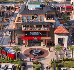 नए साल के जश्न में जालंधर में बवाल: Eastwood के बाहर गंडासों से हमला, Royal King Resort में भी हंगामा, Video वायरल