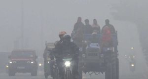 Punjab Weather Alert: लोहड़ी तक पंजाब में घना कोहरा और शीतलहर, मौसम विभाग ने जारी की चेतावनी