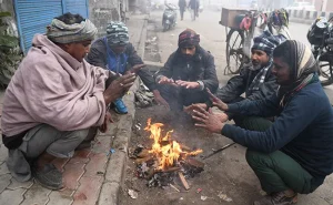 पंजाब में शीतलहर का कहर: बठिंडा में तापमान 0°C के करीब, अमृतसर में 4 मंजिला इमारत गिरी, चंडीगढ़ में घने कोहरे का अलर्ट