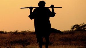 पंजाब के किसानों पर बढ़ता कर्ज बना बड़ी चुनौती: प्रति परिवार ऋण राष्ट्रीय औसत से कई गुना ज्यादा