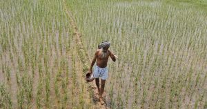 Punjab के 6 जिलों के किसानों को बड़ी राहत: बॉर्डर फेंसिंग शिफ्ट होगी, अब बिना पाबंदी कर सकेंगे खेती