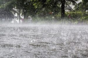 Punjab Weather Alert: 8 और 9 जुलाई को भारी बारिश का अलर्ट, IMD ने जारी की चेतावनी