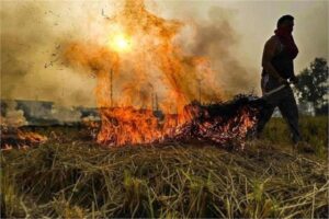 Punjab Stubble Burning: अमृतसर में 59 मामले, तरनतारन दूसरे नंबर पर