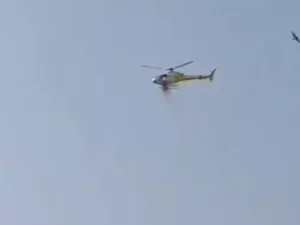 गुरु रामदास जी के प्रकाश पर्व पर गोल्डन टेंपल में फूलों की वर्षा, उमड़ी संगत
